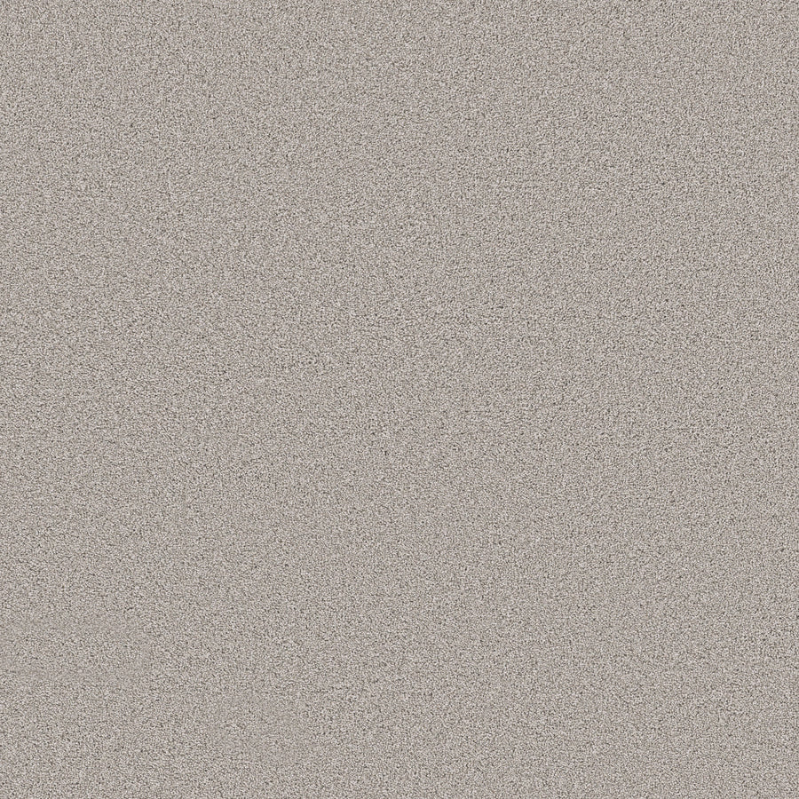 Shaw Floors - Carpet - Pet Perfect Collection - Grand Influence II - 12' - Gentle Wind