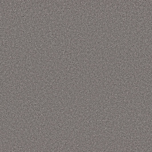 Shaw Floors - Carpet - Pet Perfect Collection - Grand Influence II - 12' - Charcoal Luster