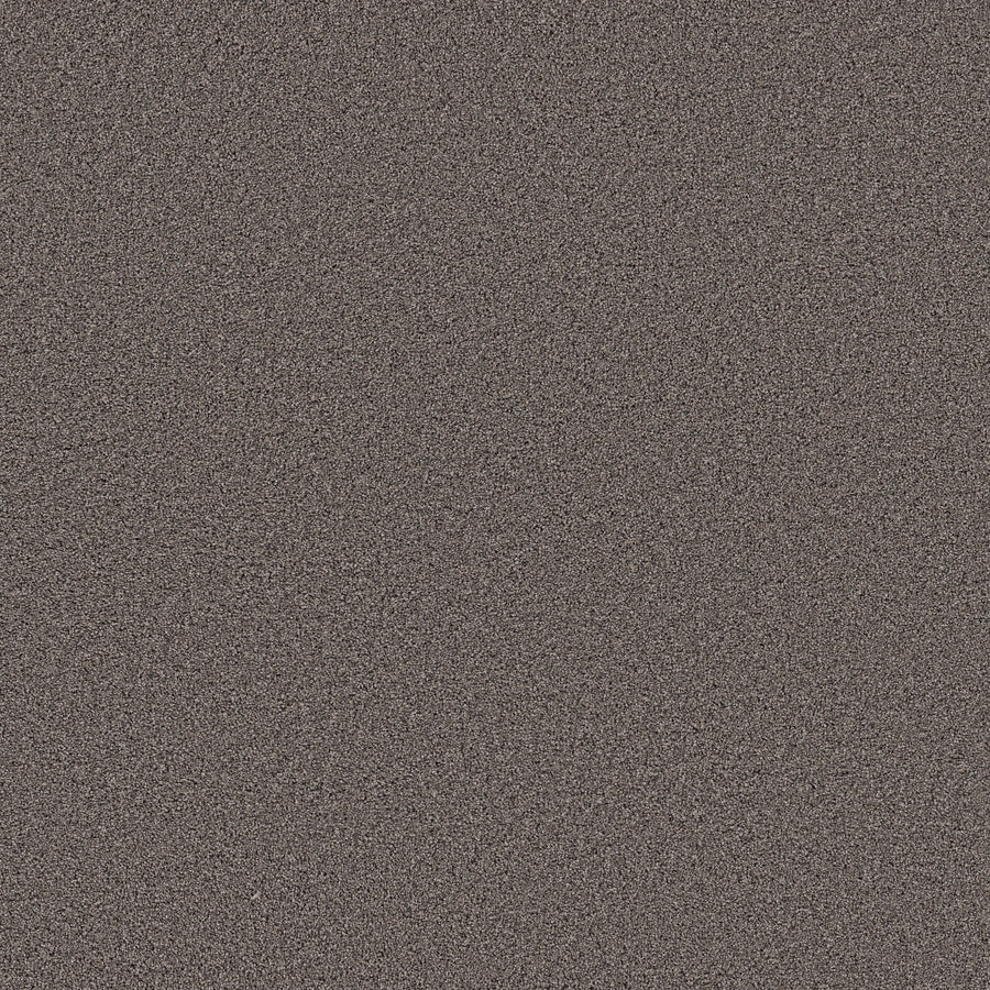 Shaw Floors - Carpet - Pet Perfect Collection - Grand Influence II - 12' - Knighthood