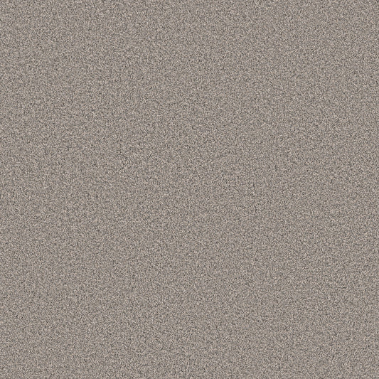 Shaw Floors - Carpet - Pet Perfect Collection - Grand Influence II - 12' - Platinum