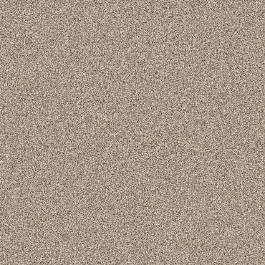 Shaw Floors - Carpet - Pet Perfect Collection - Grand Influence II - 12' - Sand Hill