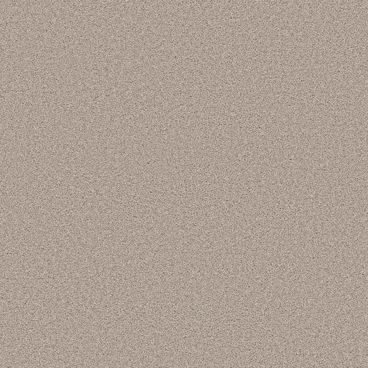 Shaw Floors - Carpet - Pet Perfect Collection - Grand Influence II - 12' - Pebble