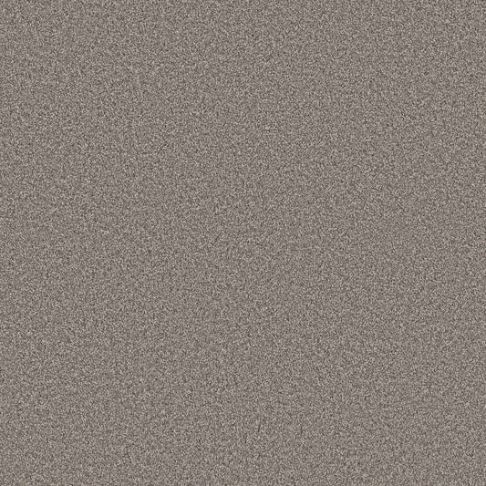 Shaw Floors - Carpet - Pet Perfect Collection - Grand Influence II - 12' - Earth Tone