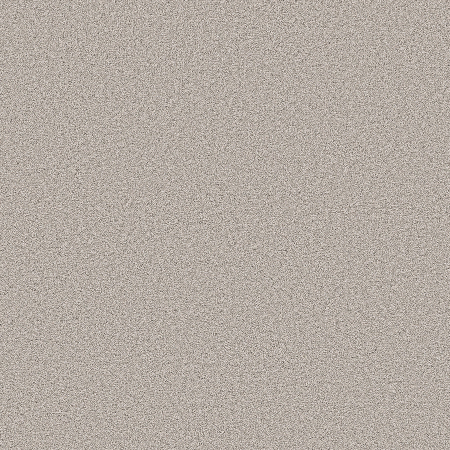Shaw Floors - Carpet - Pet Perfect Collection - Grand Influence III - 12' - Fresco
