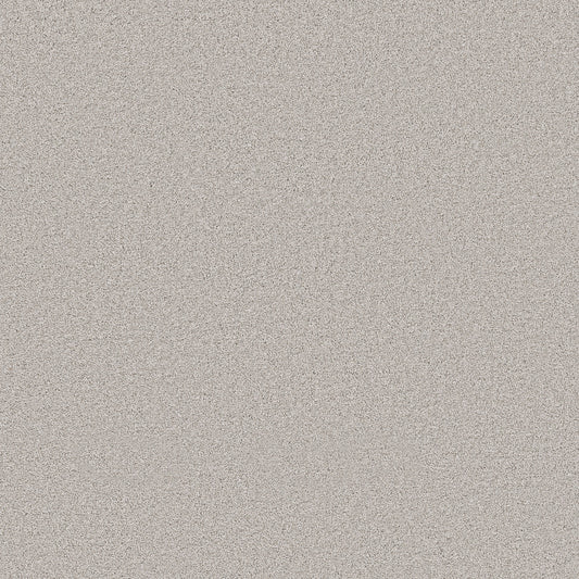 Shaw Floors - Carpet - Pet Perfect Collection - Grand Influence III - 12' - London Fog