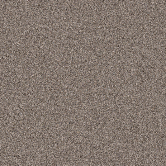 Shaw Floors - Carpet - Pet Perfect Collection - Grand Influence III - 12' - Mushroom