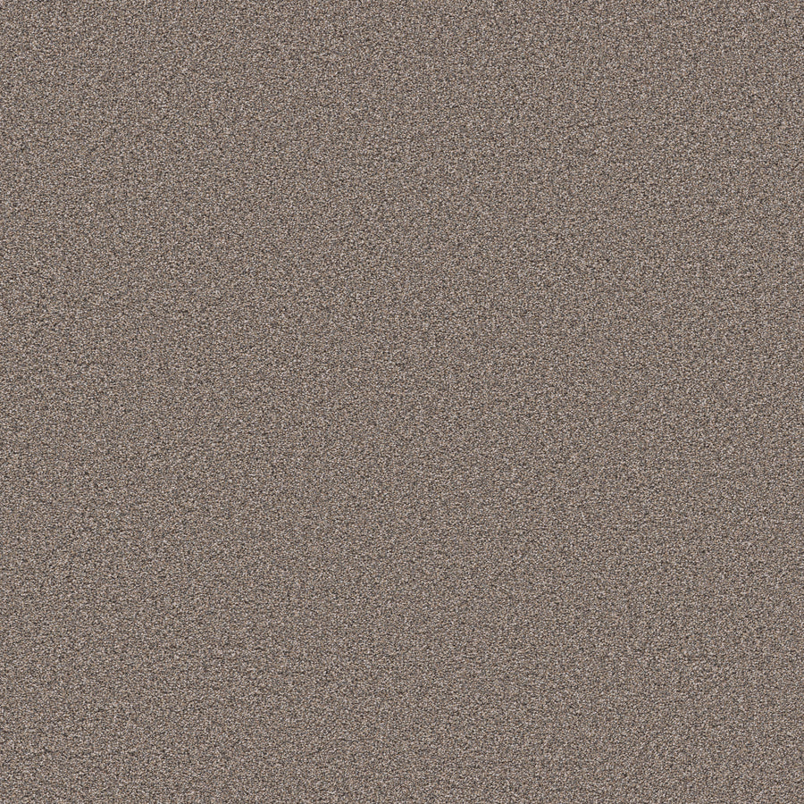 Shaw Floors - Carpet - Pet Perfect Collection - Grand Influence III - 12' - Mushroom