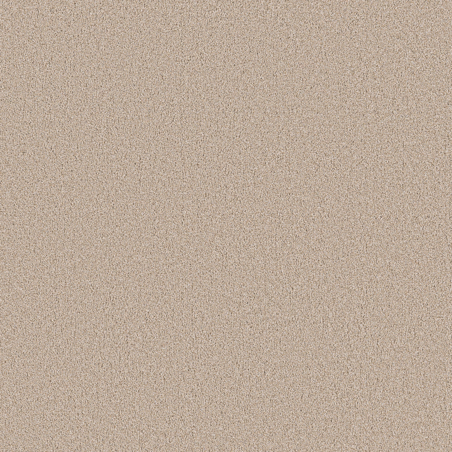 Shaw Floors - Carpet - Pet Perfect Collection - Grand Influence III - 12' - Satin Shimmer