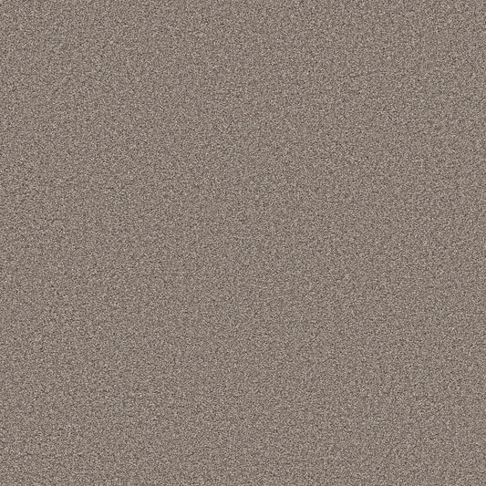 Shaw Floors - Carpet - Pet Perfect Collection - Grand Influence III - 12' - Stepping Stone