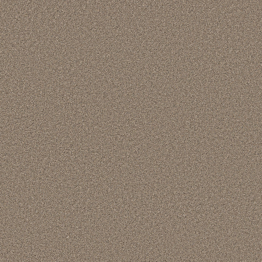 Shaw Floors - Carpet - Pet Perfect Collection - Grand Influence III - 12' - Summer Straw