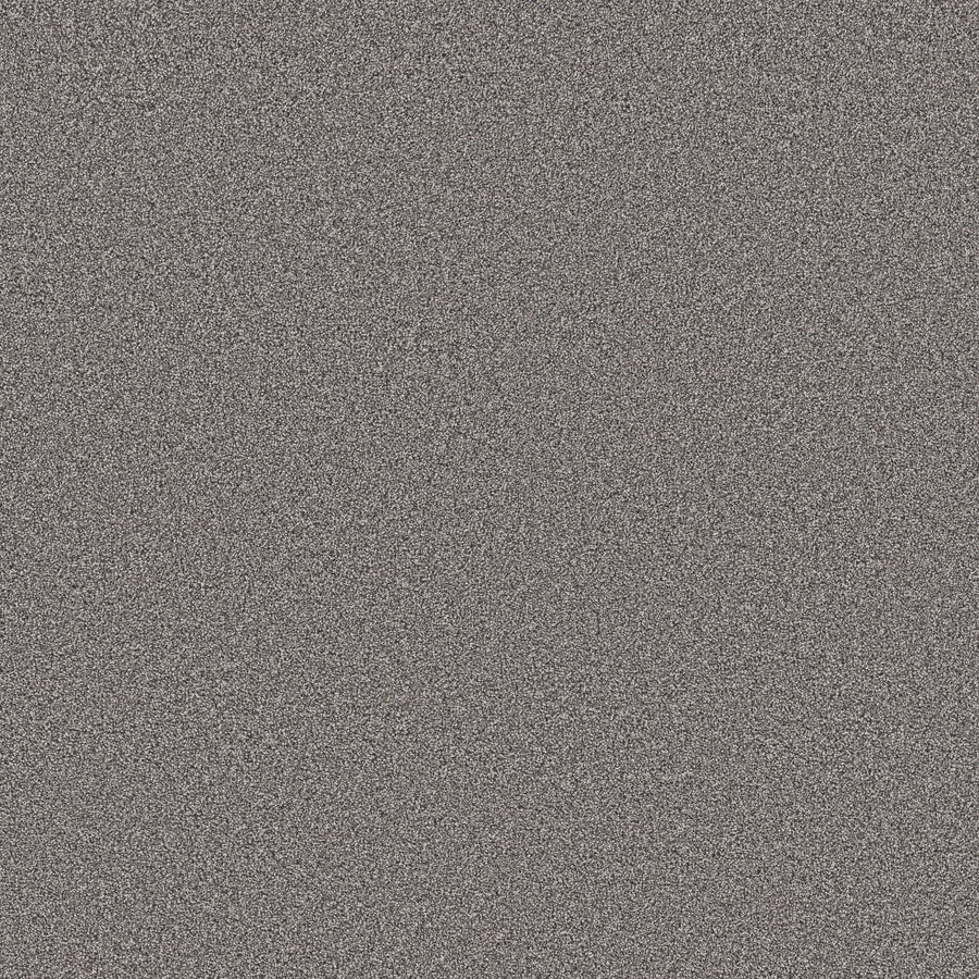 Shaw Floors - Carpet - Pet Perfect Collection - Grand Influence III - 12' - Charcoal Luster