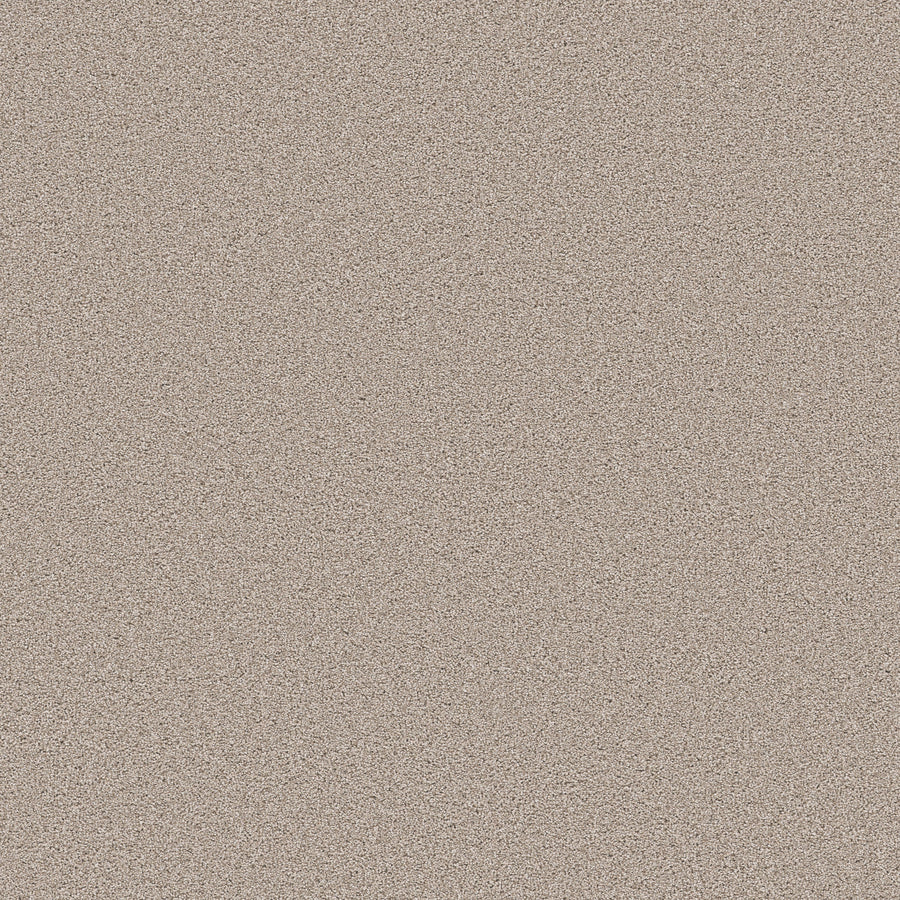 Shaw Floors - Carpet - Pet Perfect Collection - Grand Influence III - 12' - Pebble
