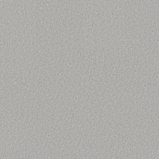 Shaw Floors - Carpet - Simply the Best Values Collection - Good Move I - 12' - Soft Fleece