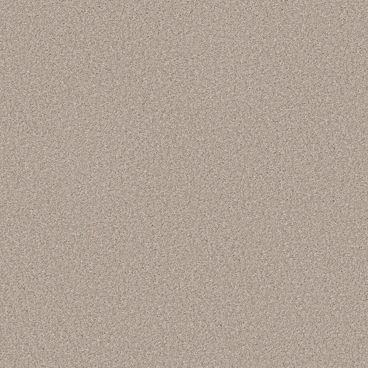 Shaw Floors - Carpet - Simply the Best Values Collection - Good Move I - 12' - Sandy Shore