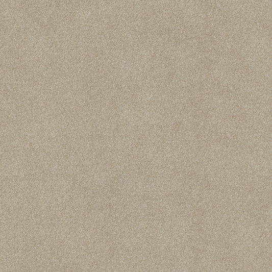Shaw Floors - Carpet - Simply the Best Values Collection - Good Move I - 12' - Practical Beige