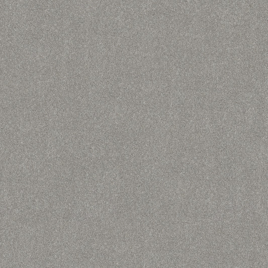 Shaw Floors - Carpet - Simply the Best Values Collection - Good Move I - 12' - Fog