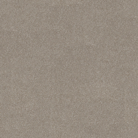 Shaw Floors - Carpet - Simply the Best Values Collection - Good Move I - 12' - Winter Dunes