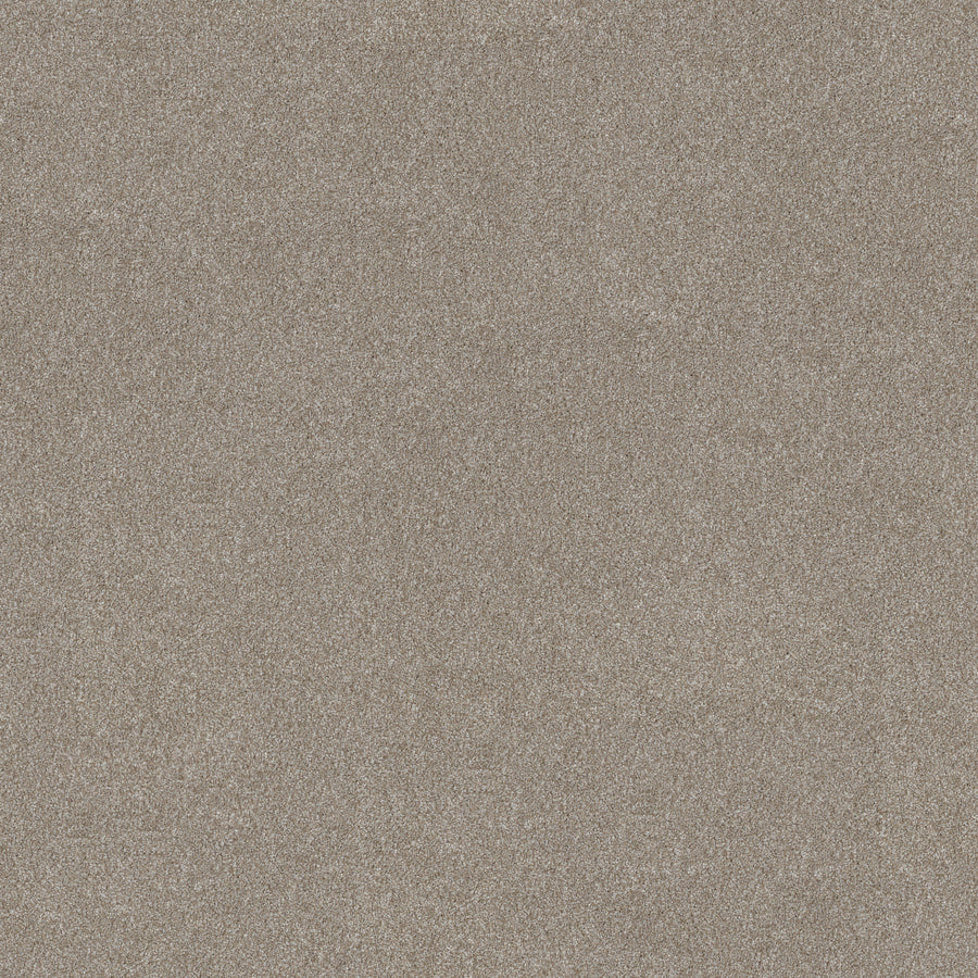 Shaw Floors - Carpet - Simply the Best Values Collection - Good Move I - 12' - Winter Dunes
