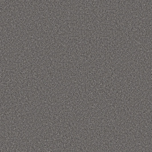 Shaw Floors - Carpet - Simply the Best Values Collection - Good Move II - 12' - Sterling