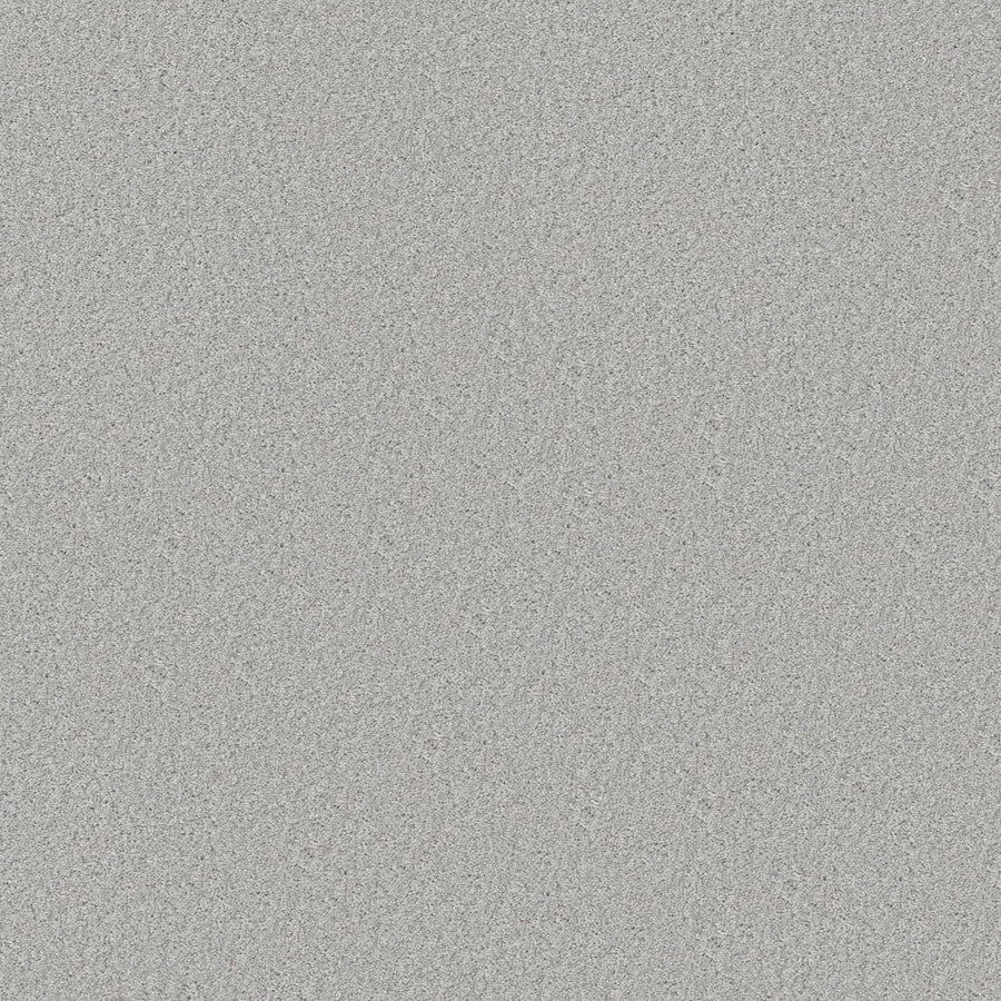 Shaw Floors - Carpet - Simply the Best Values Collection - Good Move III - 12' - Soft Fleece