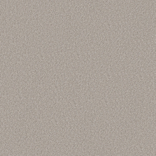 Shaw Floors - Carpet - Simply the Best Values Collection - Good Move III - 12' - Desert Light