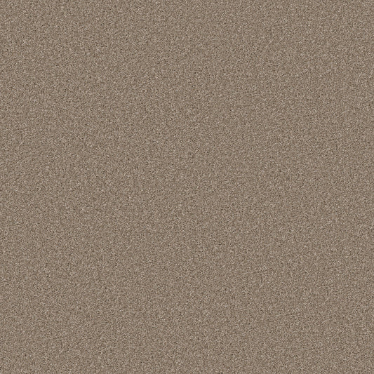 Shaw Floors - Carpet - Simply the Best Values Collection - Good Move III - 12' - Grecian Tan