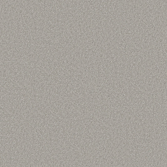 Shaw Floors - Carpet - Simply the Best Values Collection - Good Move III - 12' - Ecru