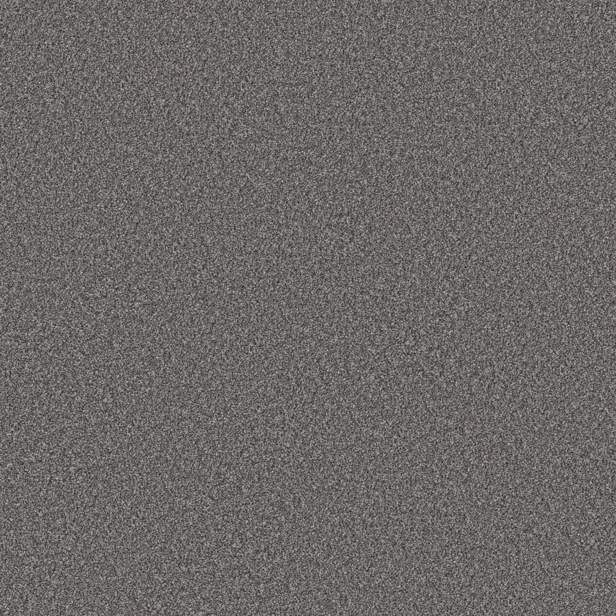 Shaw Floors - Carpet - Simply the Best Values Collection - Good Move III - 12' - Sterling