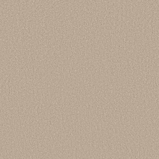 Shaw Floors - Carpet - Simply the Best Values Collection - Imaginable I - 12' - Dunes