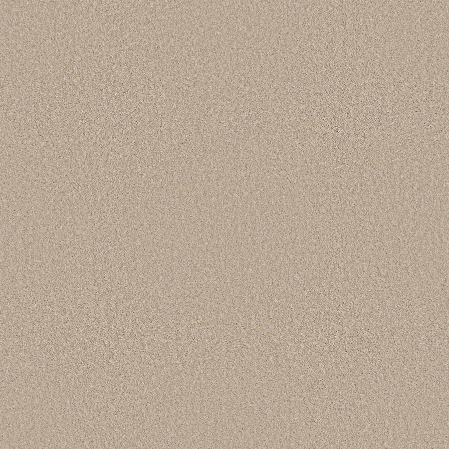 Shaw Floors - Carpet - Simply the Best Values Collection - Imaginable I - 12' - Dunes