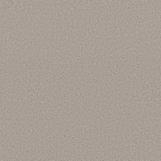 Shaw Floors - Carpet - Simply the Best Values Collection - Imaginable I - 12' - Great Greige