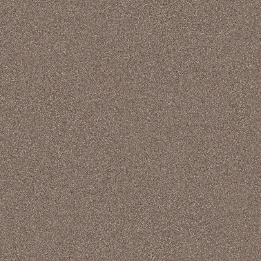 Shaw Floors - Carpet - Simply the Best Values Collection - Imaginable I - 12' - Weathered