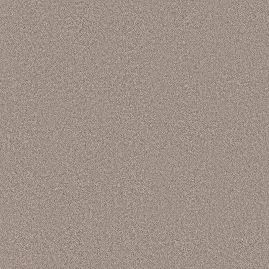 Shaw Floors - Carpet - Simply the Best Values Collection - Imaginable I - 12' - Misty Harbor
