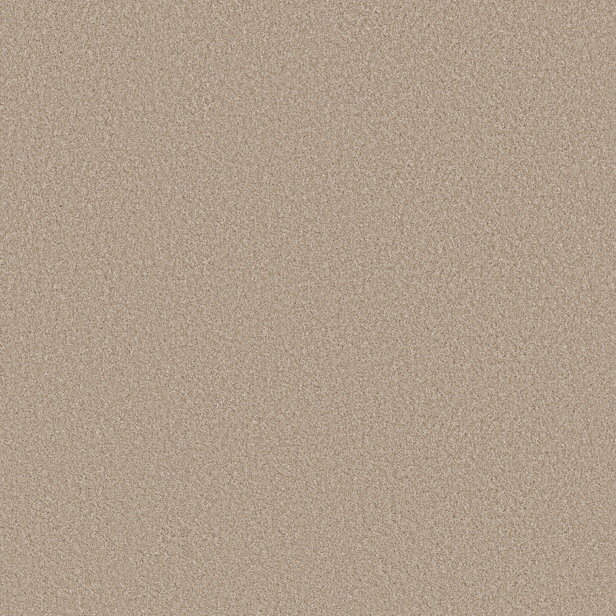 Shaw Floors - Carpet - Simply the Best Values Collection - Imaginable I - 12' - Latte