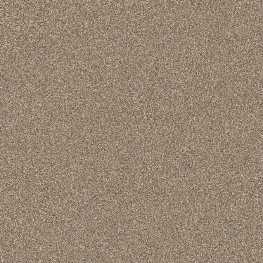 Shaw Floors - Carpet - Simply the Best Values Collection - Imaginable I - 12' - Raw Wood