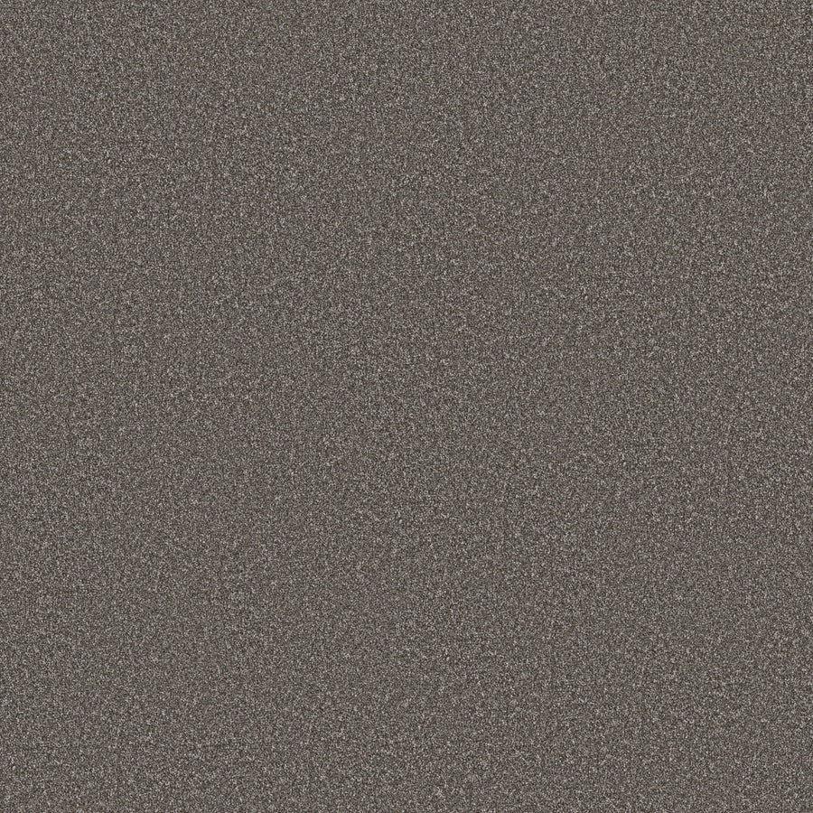 Shaw Floors - Carpet - Simply the Best Values Collection - Imaginable I - 12' - Sparrow