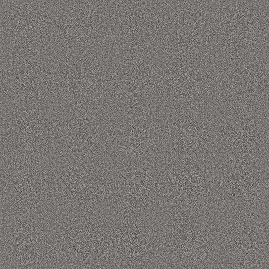 Shaw Floors - Carpet - Simply the Best Values Collection - Imaginable I - 12' - Concrete