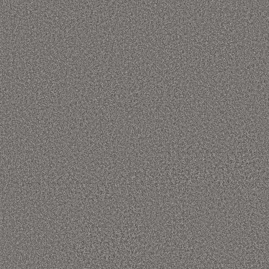 Shaw Floors - Carpet - Simply the Best Values Collection - Imaginable I - 12' - Concrete