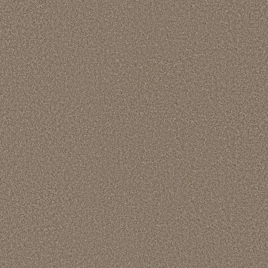 Shaw Floors - Carpet - Simply the Best Values Collection - Imaginable I - 12' - Clay