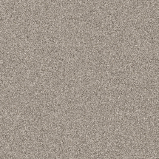 Shaw Floors - Carpet - Simply the Best Values Collection - Imaginable I - 12' - Granite Dust