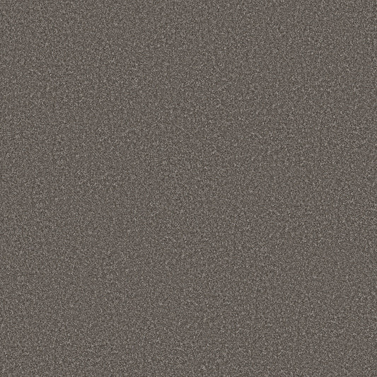 Shaw Floors - Carpet - Simply the Best Values Collection - Imaginable II - 12' - Sparrow