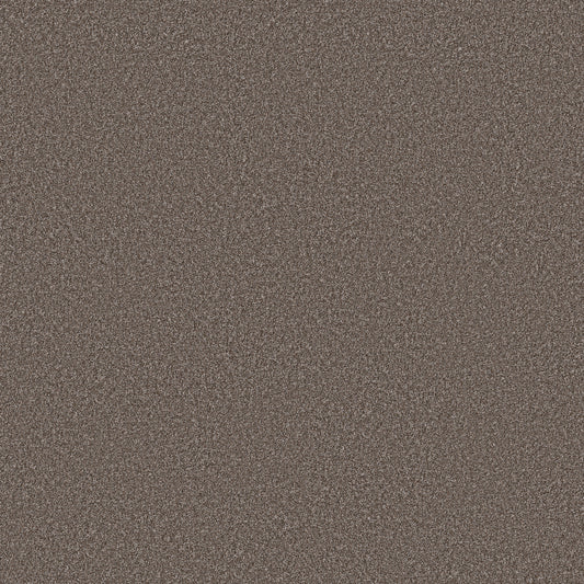 Shaw Floors - Carpet - Simply the Best Values Collection - Imaginable II - 12' - French Roast
