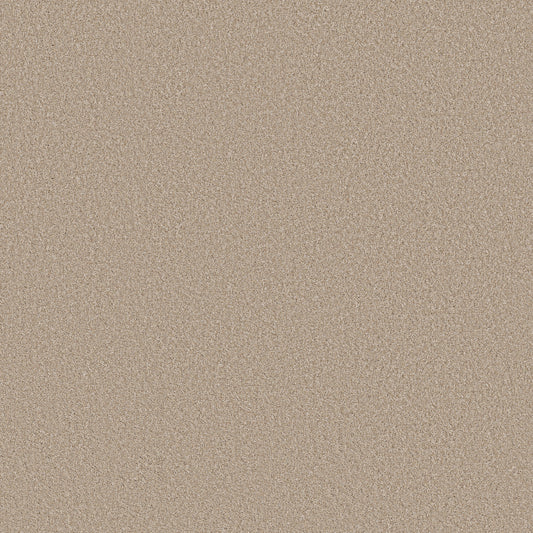 Shaw Floors - Carpet - Simply the Best Values Collection - Imaginable III - 12' - Latte