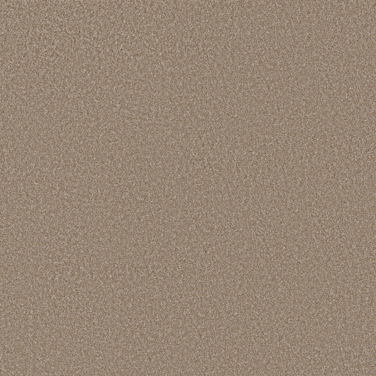 Shaw Floors - Carpet - Simply the Best Values Collection - Imaginable III - 12' - Raw Wood