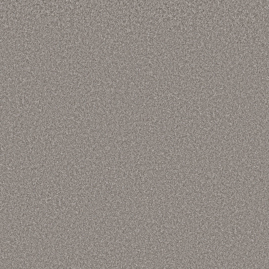 Shaw Floors - Carpet - Simply the Best Values Collection - Imaginable III - 12' - Stone Path