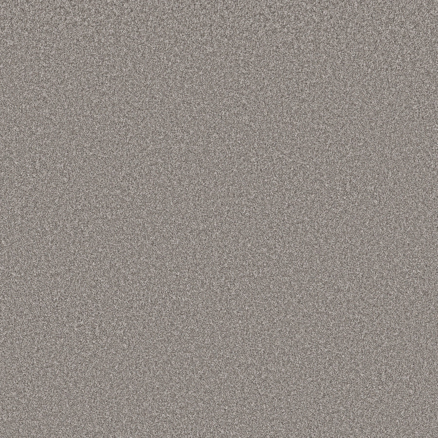 Shaw Floors - Carpet - Simply the Best Values Collection - Imaginable III - 12' - Stone Path