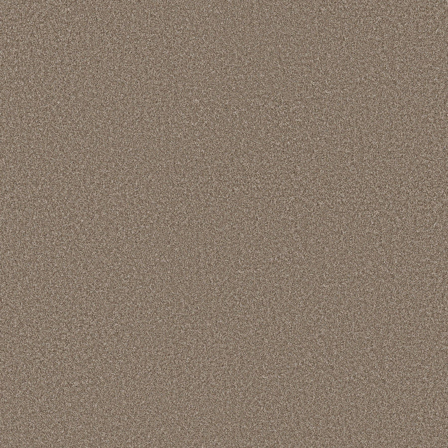 Shaw Floors - Carpet - Simply the Best Values Collection - Imaginable III - 12' - Clay