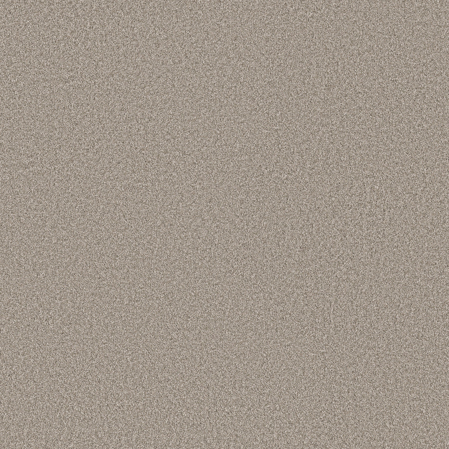 Shaw Floors - Carpet - Simply the Best Values Collection - Imaginable III - 12' - Granite Dust