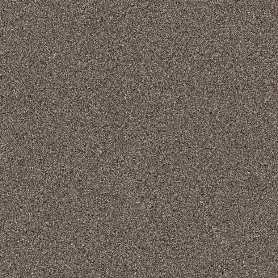 Shaw Floors - Carpet - Simply the Best Values Collection - Imaginable III - 12' - French Roast