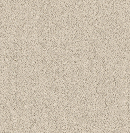 Shaw Floors - Carpet - Pet Perfect Collection - Joyful Spirit - 12' - Whiskers